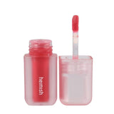 Heimish Dailism Lip Gloss, Pink Coral - 4 g